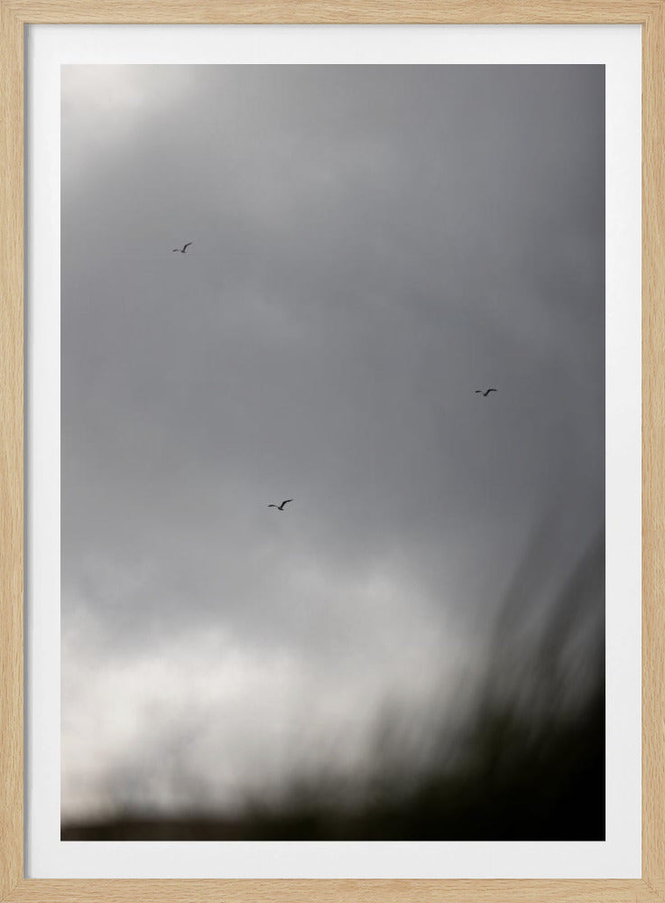Vogels en Wolken 2 | Poster