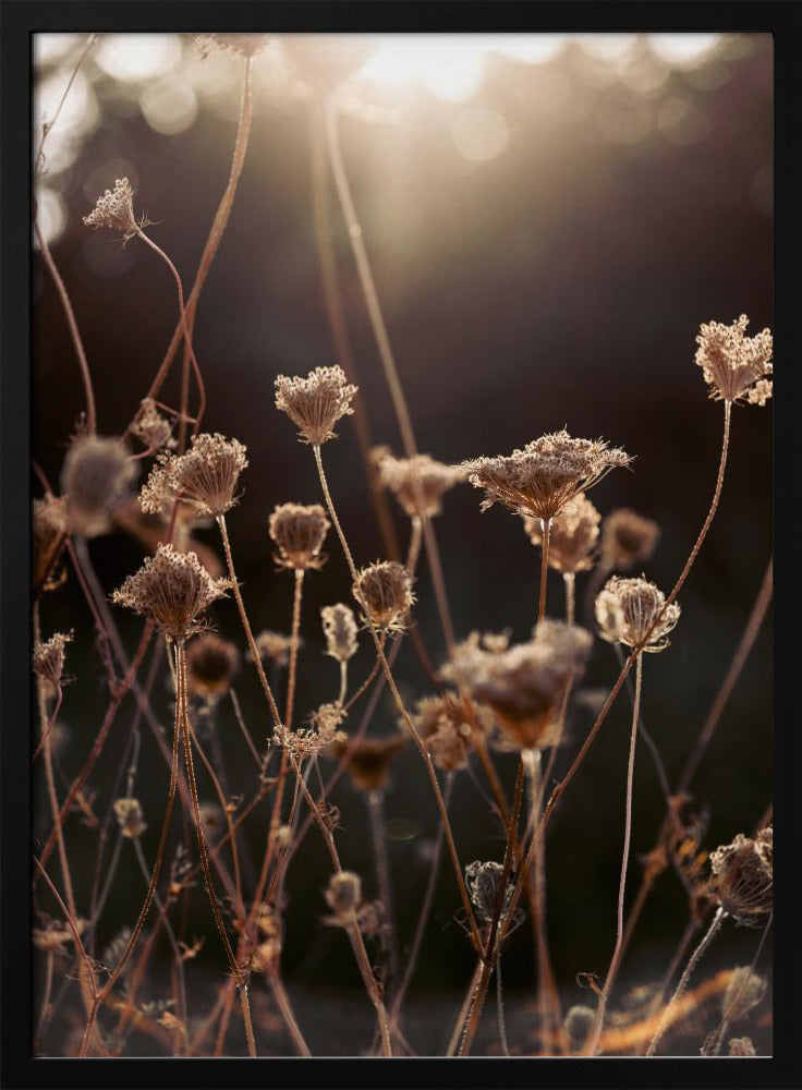 Warm Winterlicht 2 | Poster