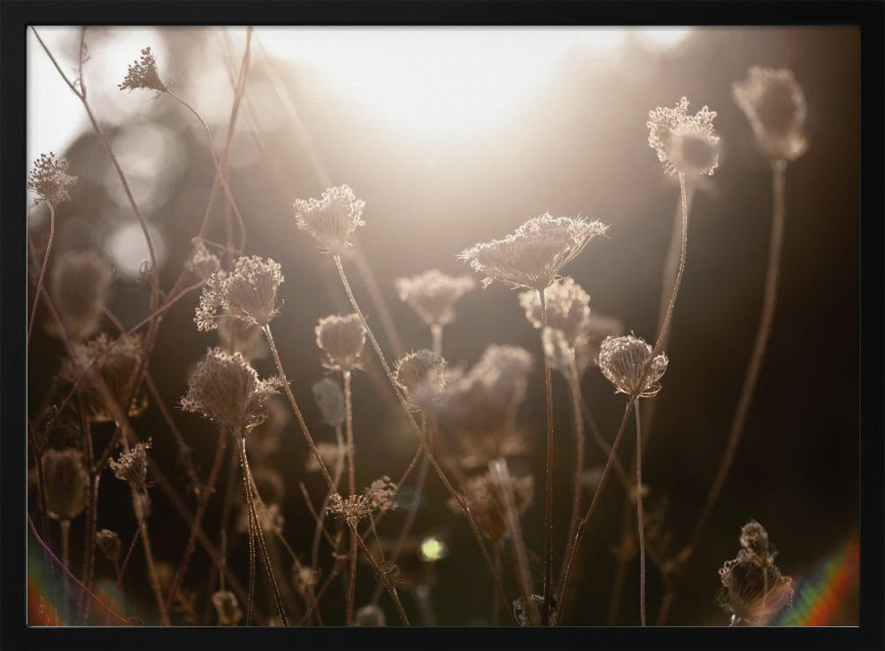 Warm Winterlicht 3 | Poster