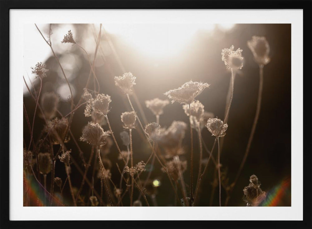 Warm Winterlicht 3 | Poster