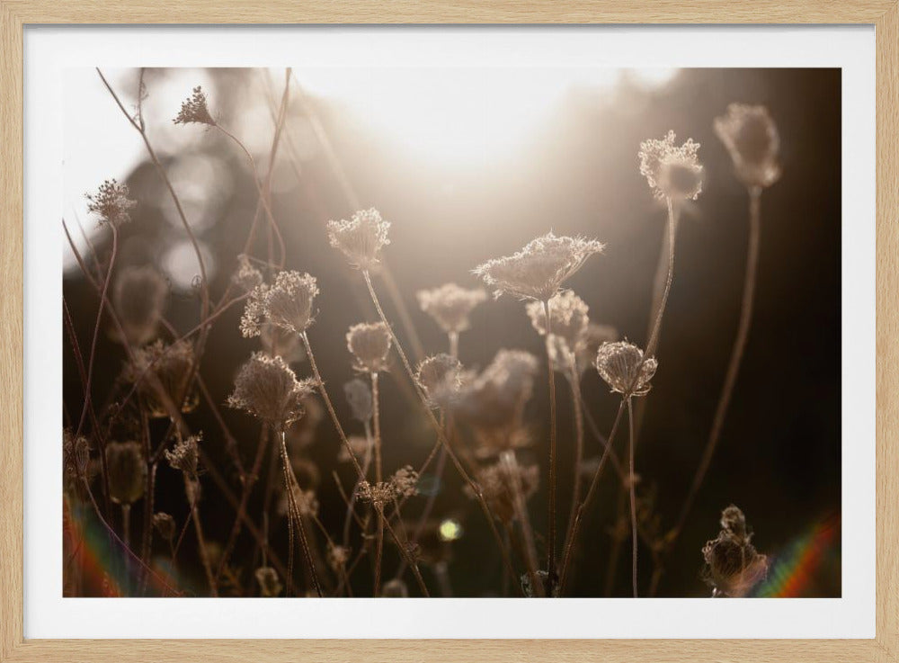 Warm Winterlicht 3 | Poster