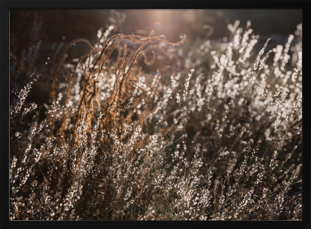 Warm Winterlicht 4 | Poster
