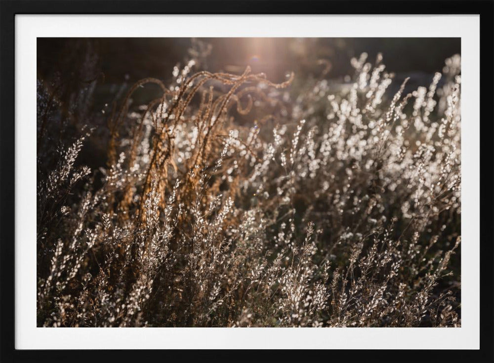Warm Winterlicht 4 | Poster