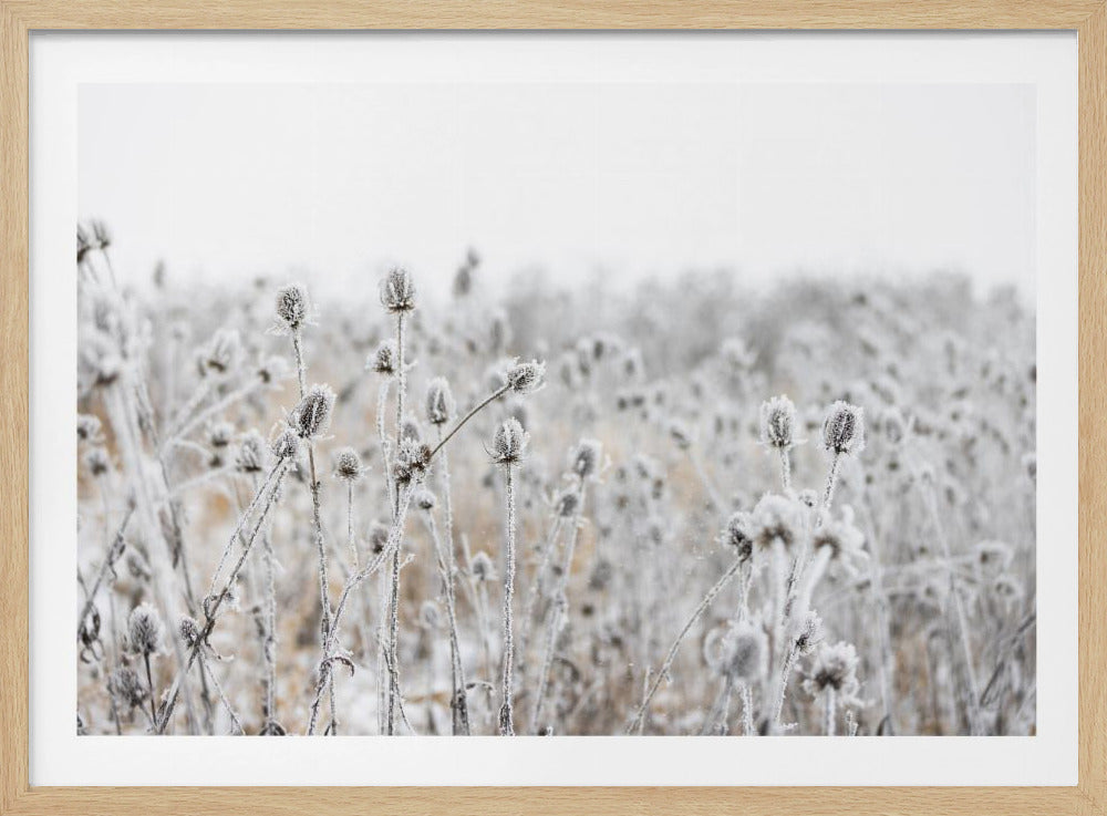 Winterveld 5 | Poster