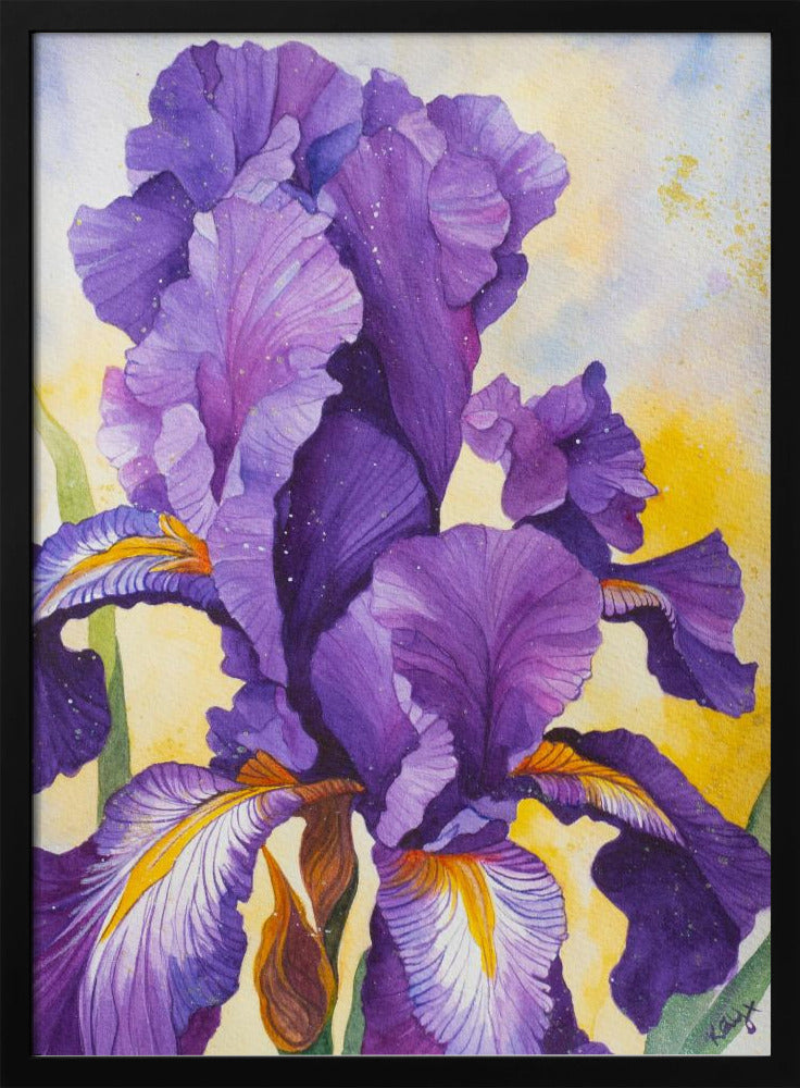 Iris aquarel | poster