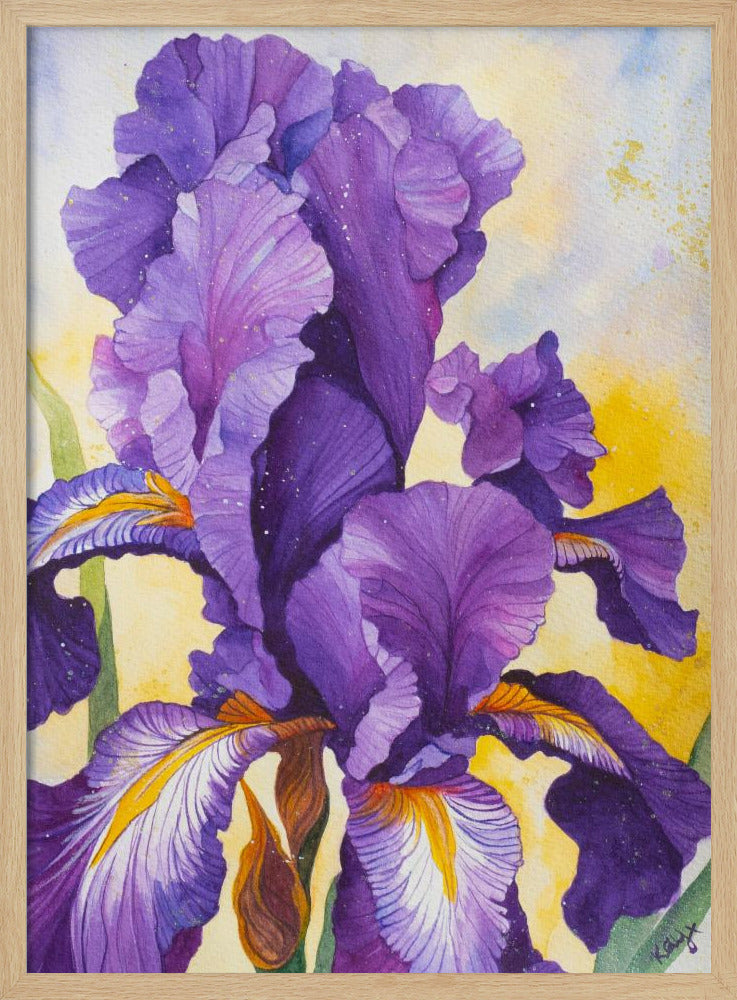 Iris aquarel | poster