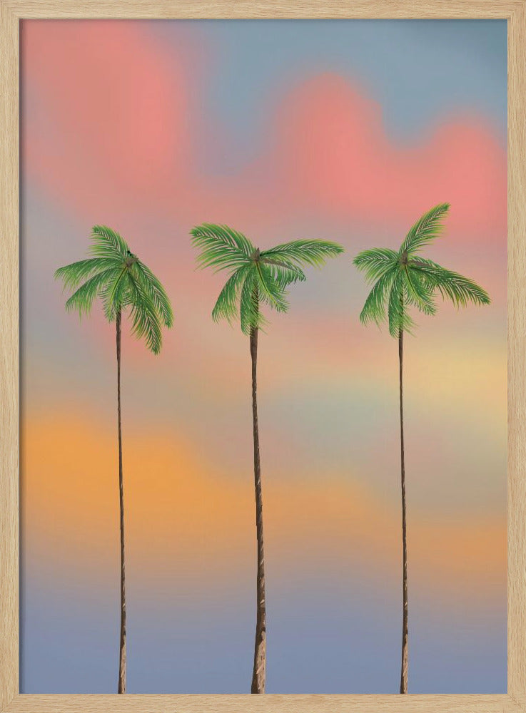 Drie hoge palmbomen | Poster