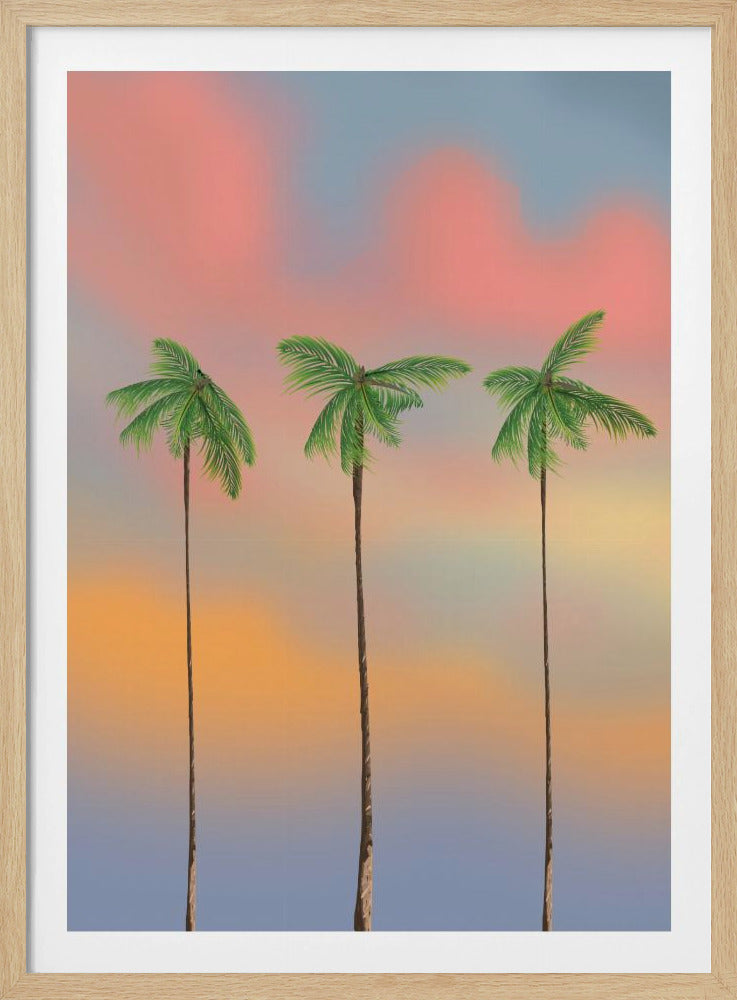 Drie hoge palmbomen | Poster