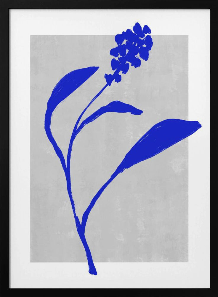 Silhouet van een azuurblauwe bloesem | Poster