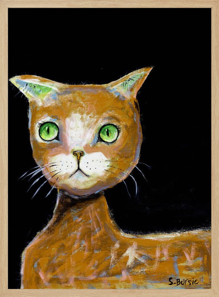 De bruine kat met grote ogen | Poster