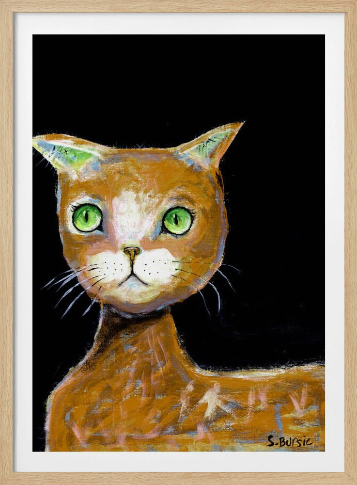 De bruine kat met grote ogen | Poster