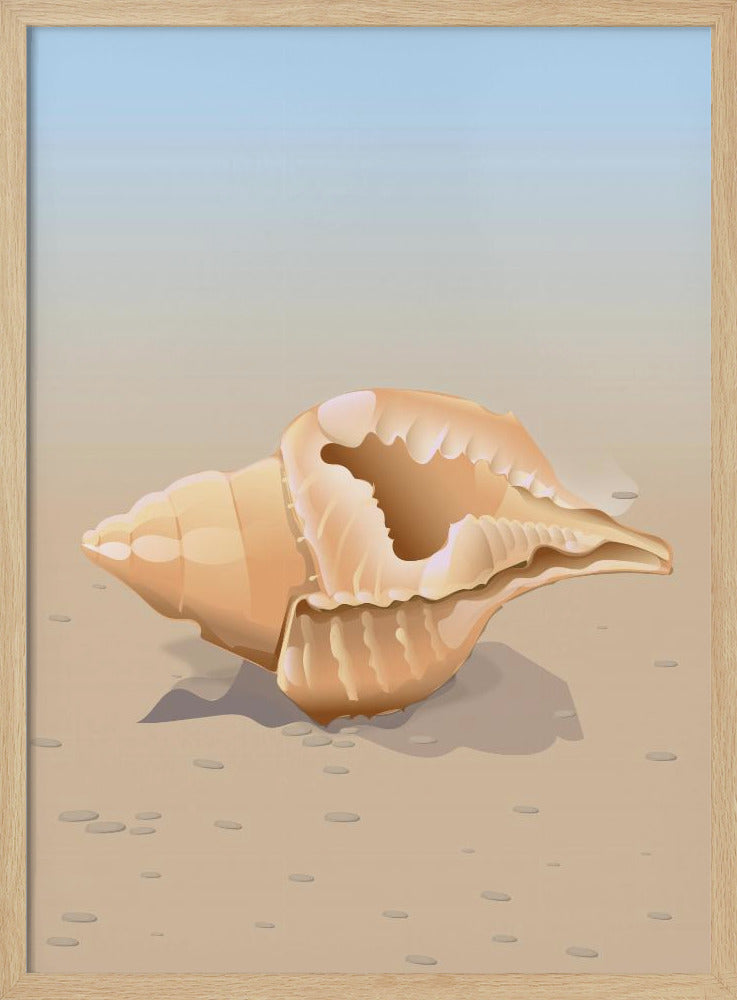 Zeeschelp | Poster