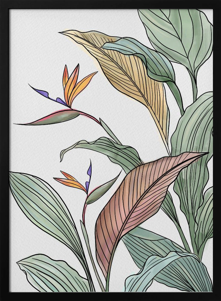 Vogels van het Paradijs | Poster