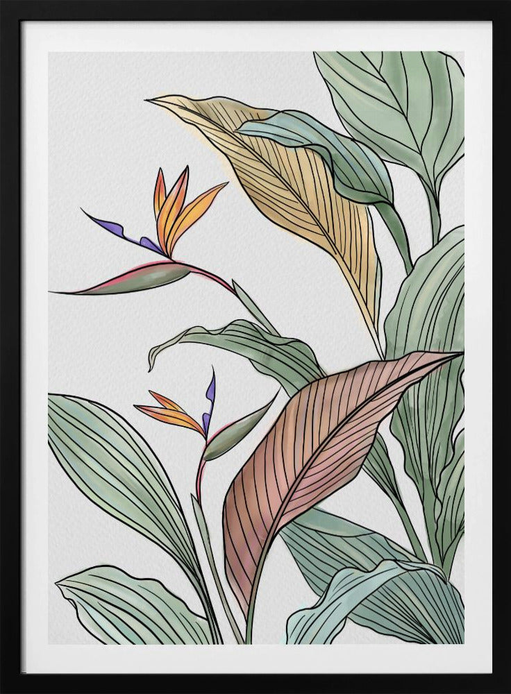 Vogels van het Paradijs | Poster