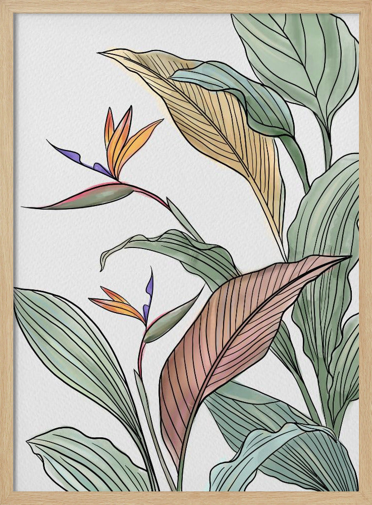 Vogels van het Paradijs | Poster