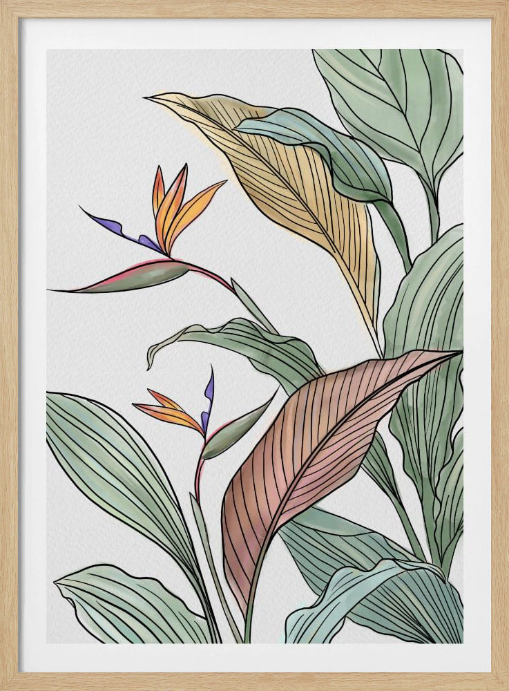 Vogels van het Paradijs | Poster