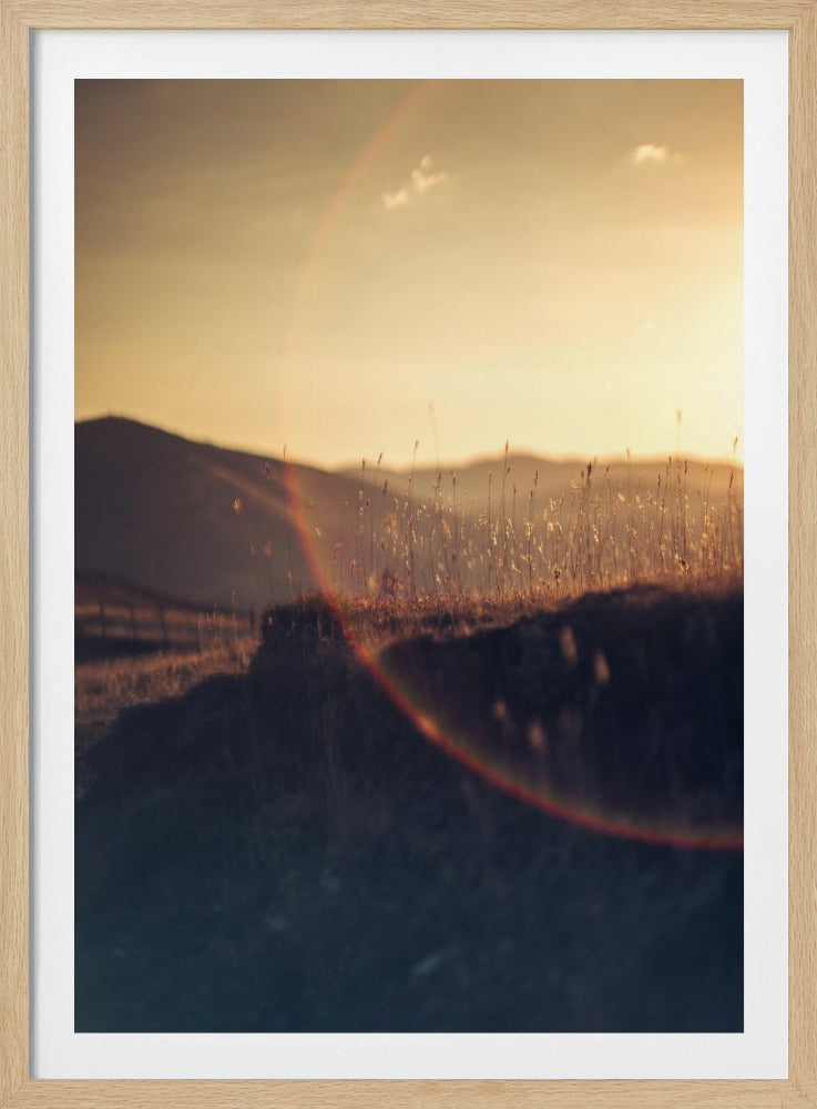 Golden Horizon Glow | Poster