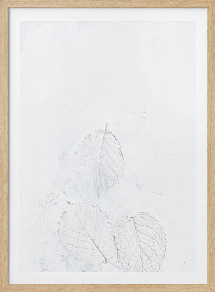 Minimale bladeren | Poster