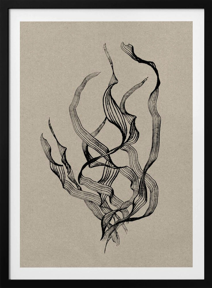 Delicaat | Poster