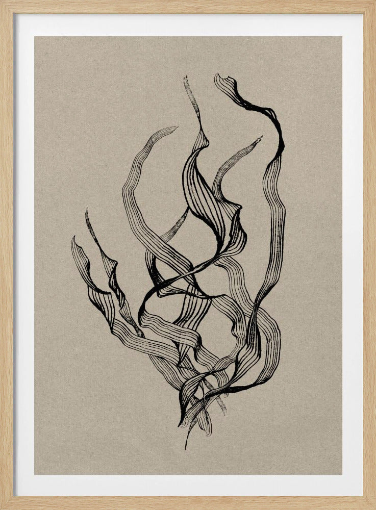 Delicaat | Poster