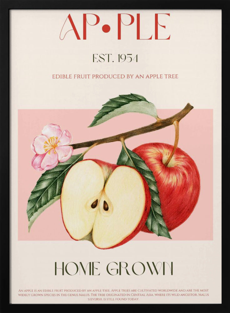 Geoogste appels | Poster