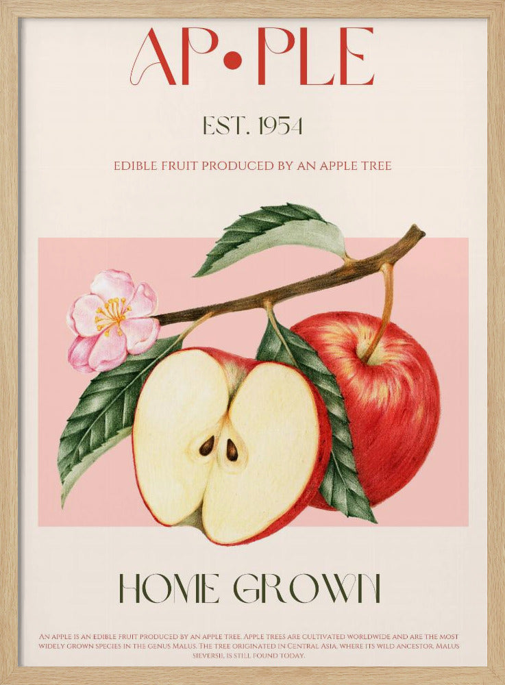 Geoogste appels | Poster