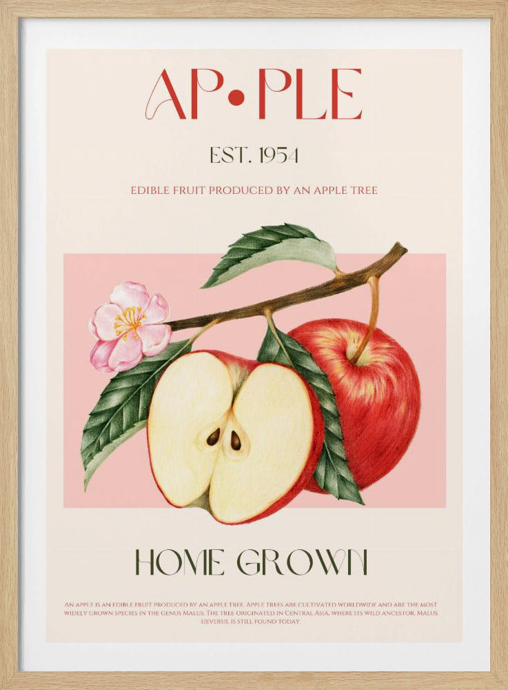Geoogste appels | Poster
