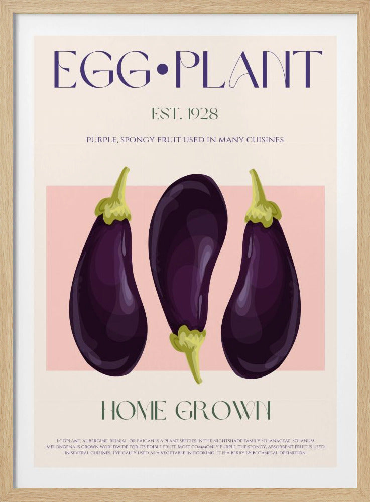 Drie levendige paarse aubergines | Poster