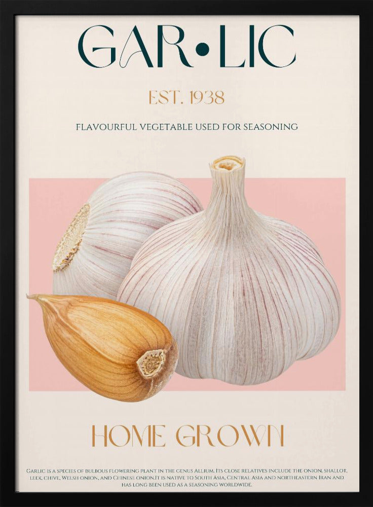 Knoflook Essence | Poster