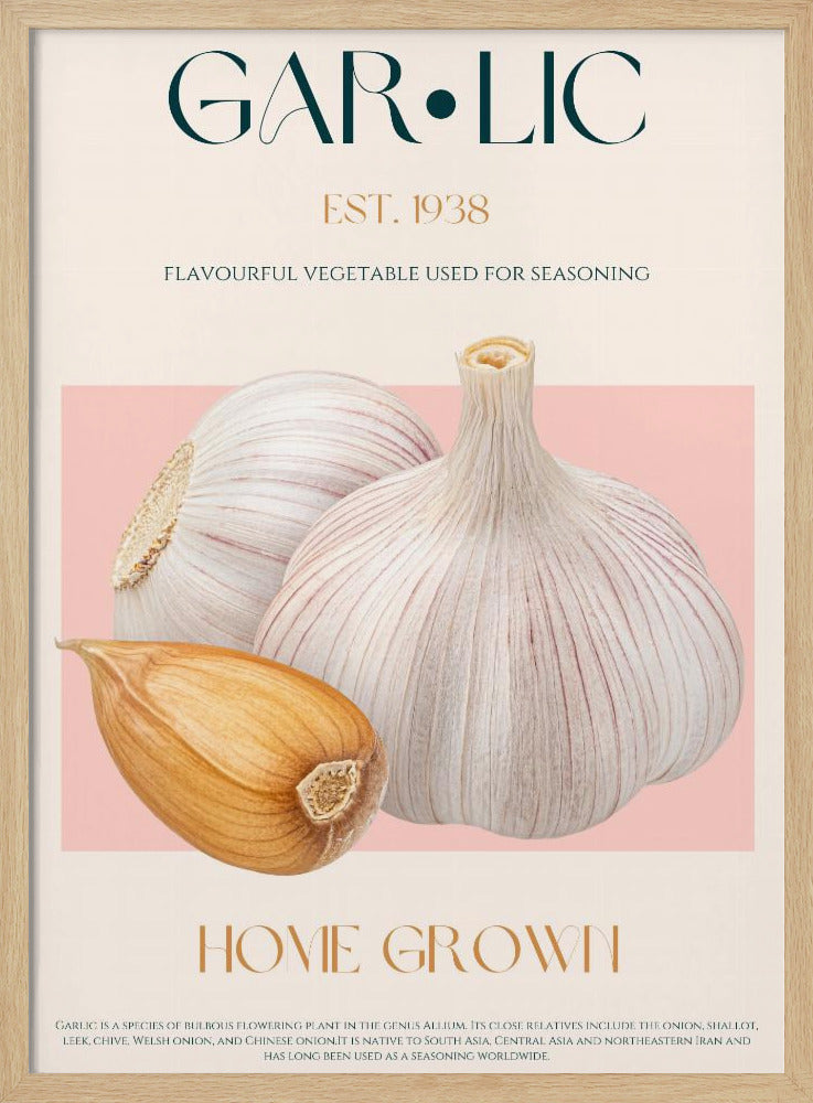 Knoflook Essence | Poster