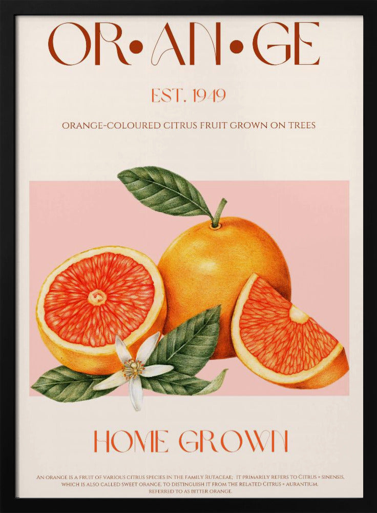 Vintage-thema met levendige sinaasappels | Poster