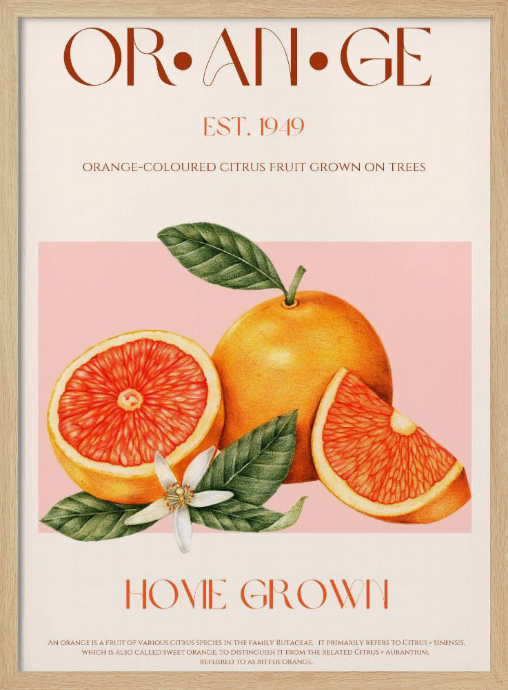 Vintage-thema met levendige sinaasappels | Poster