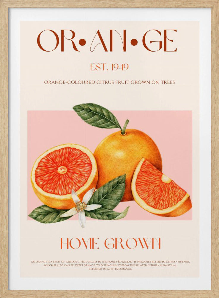 Vintage-thema met levendige sinaasappels | Poster