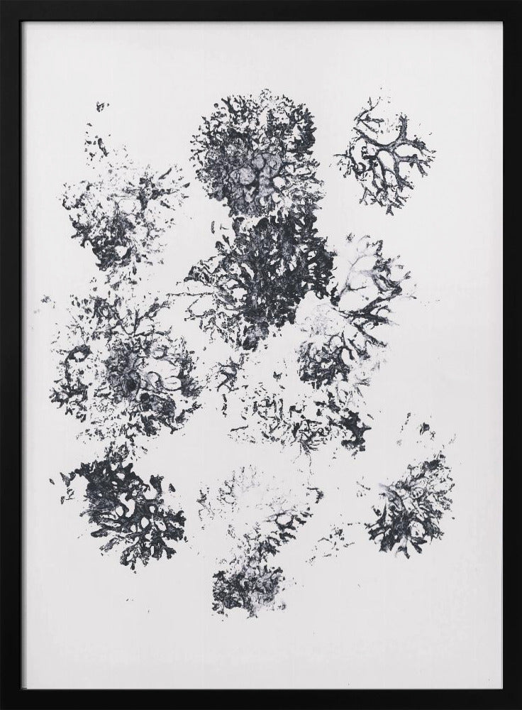 Planten II | Poster