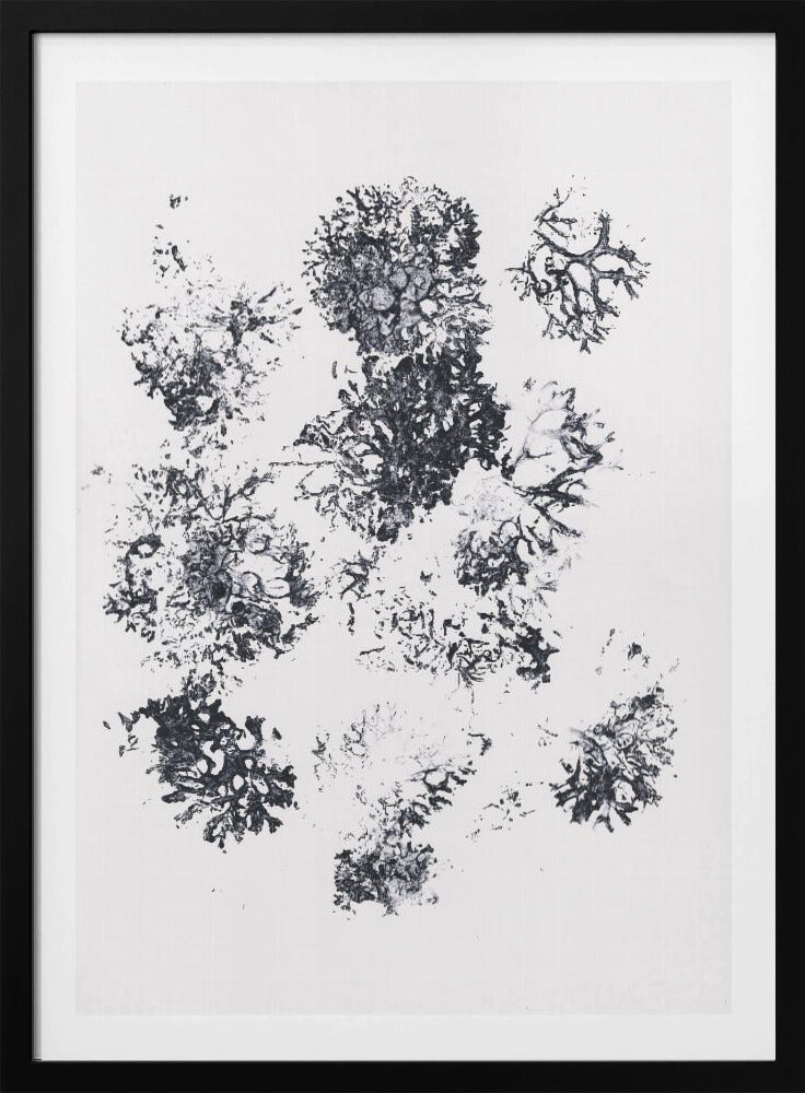 Planten II | Poster
