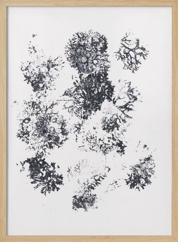 Planten II | Poster