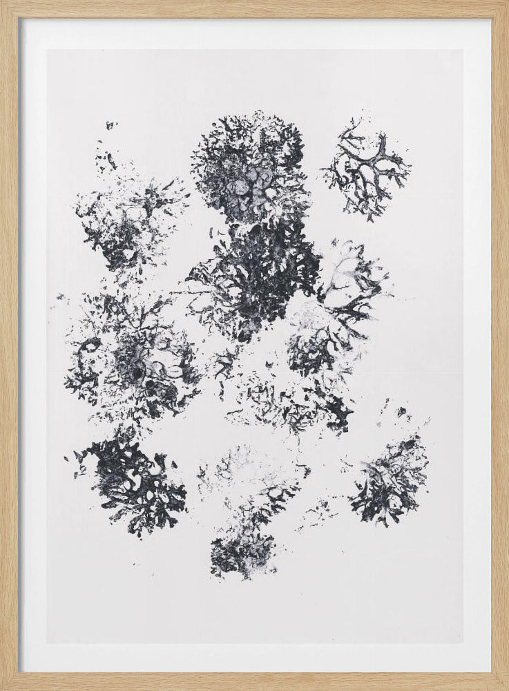 Planten II | Poster