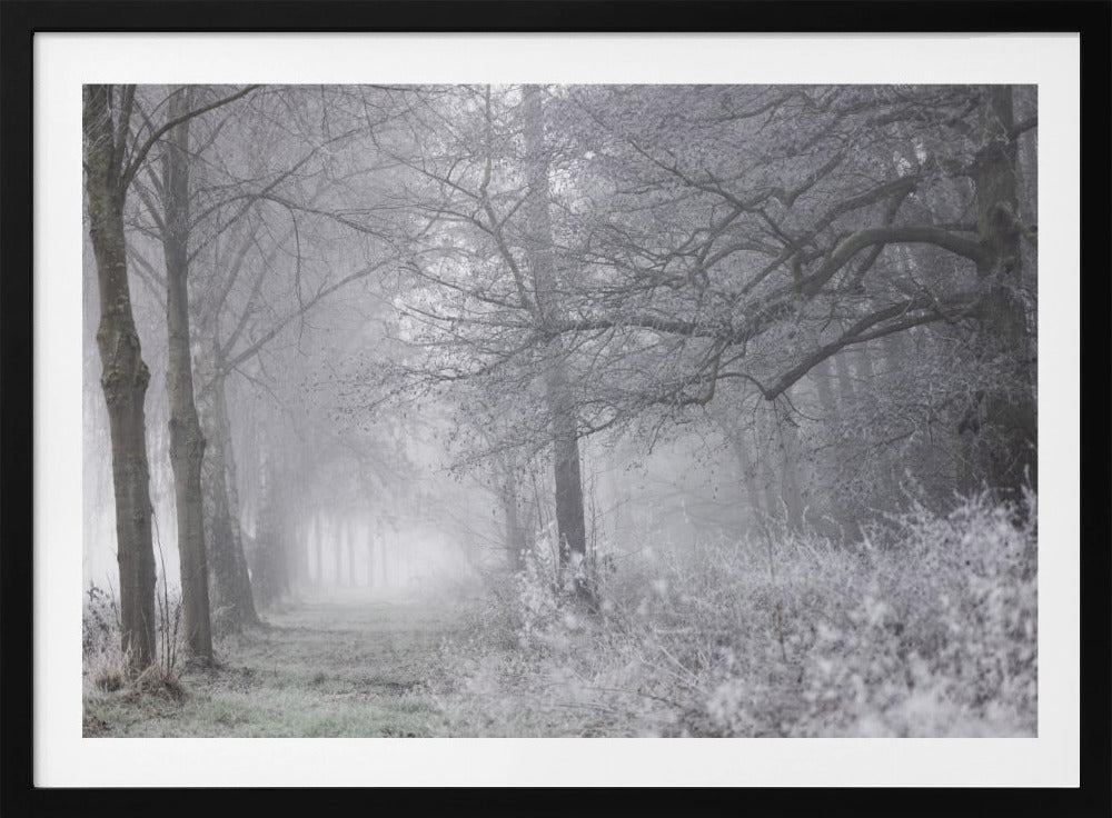 Mistige winterochtend 1 | Poster