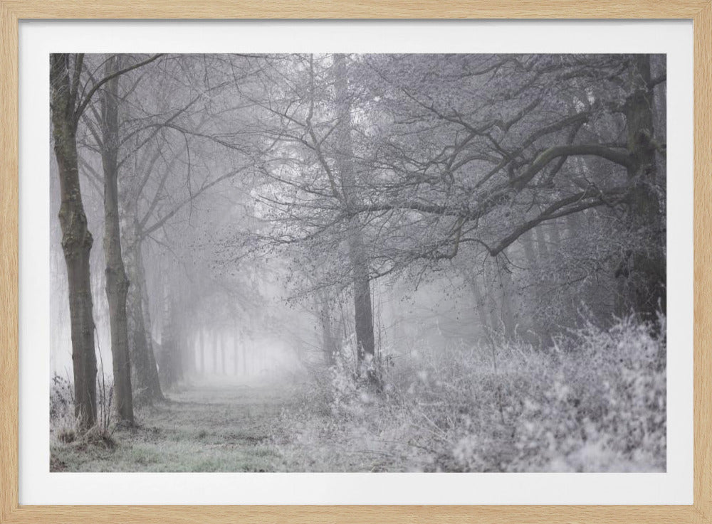 Mistige winterochtend 1 | Poster