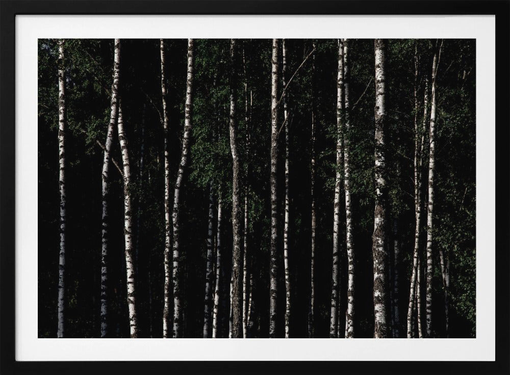 Ergens in Zweden 4 | Poster