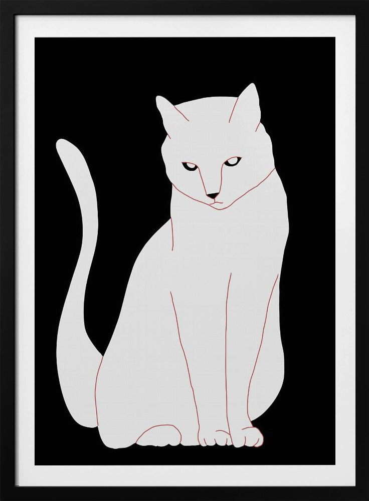 White and black cat | Poster