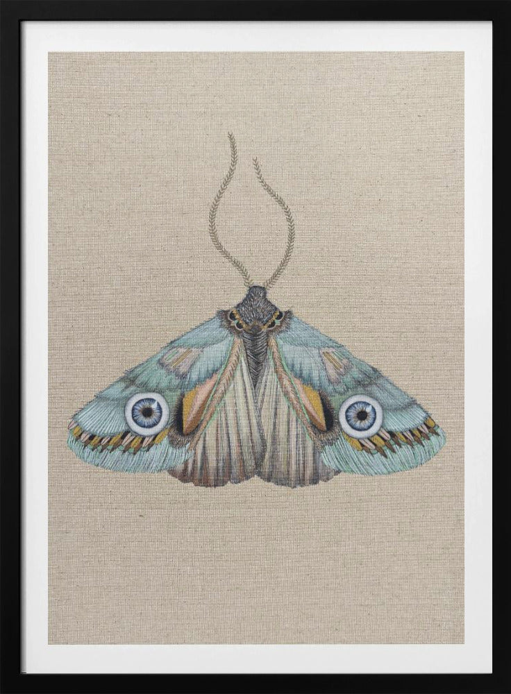 Moth | Poster