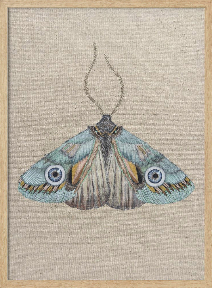 Moth | Poster