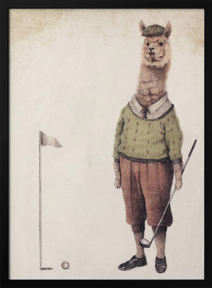 Alpaca Golfclub | Poster