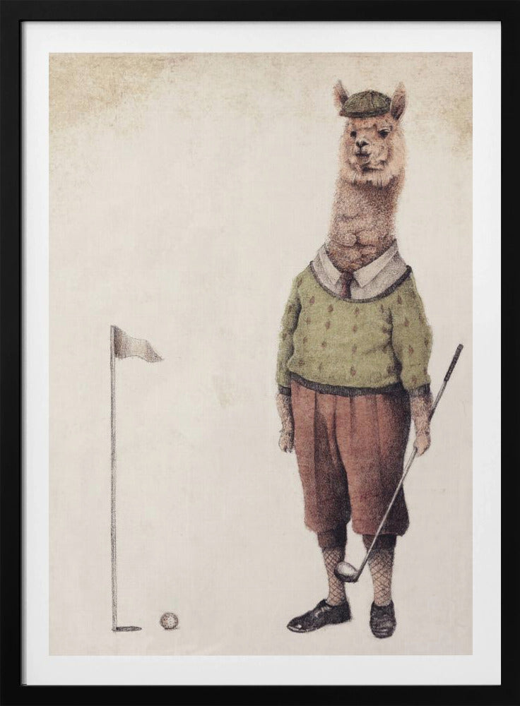 Alpaca Golfclub | Poster