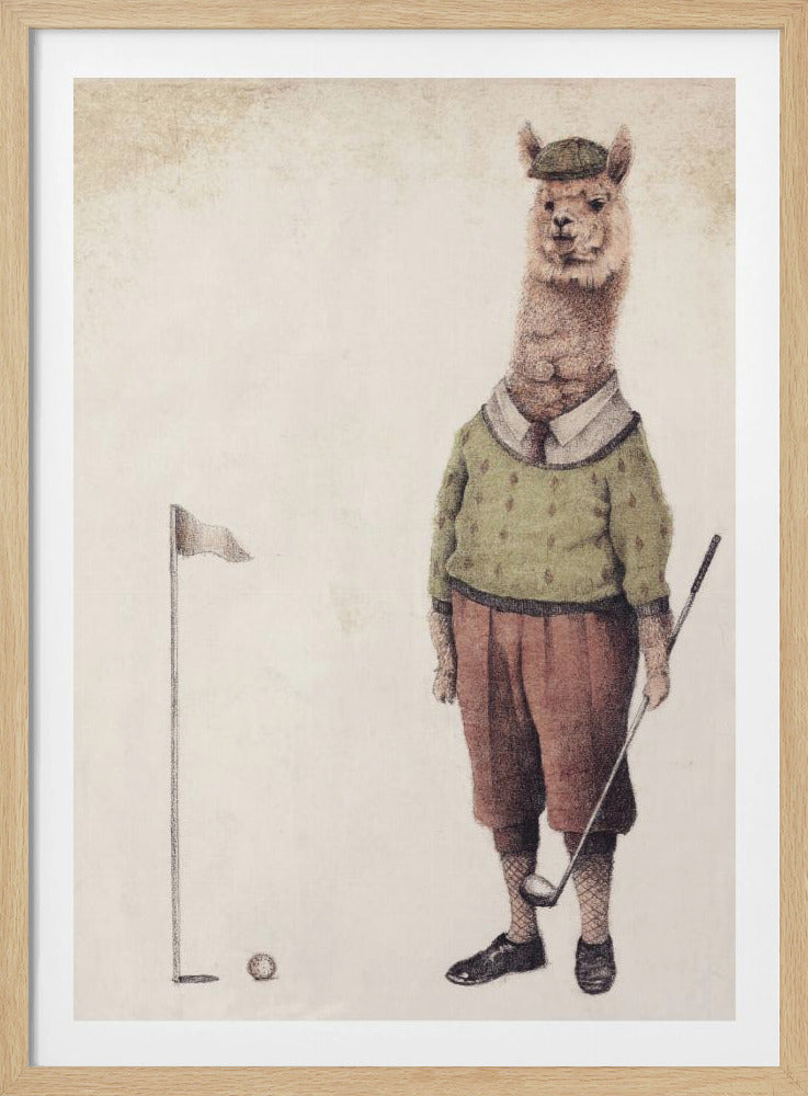 Alpaca Golfclub | Poster