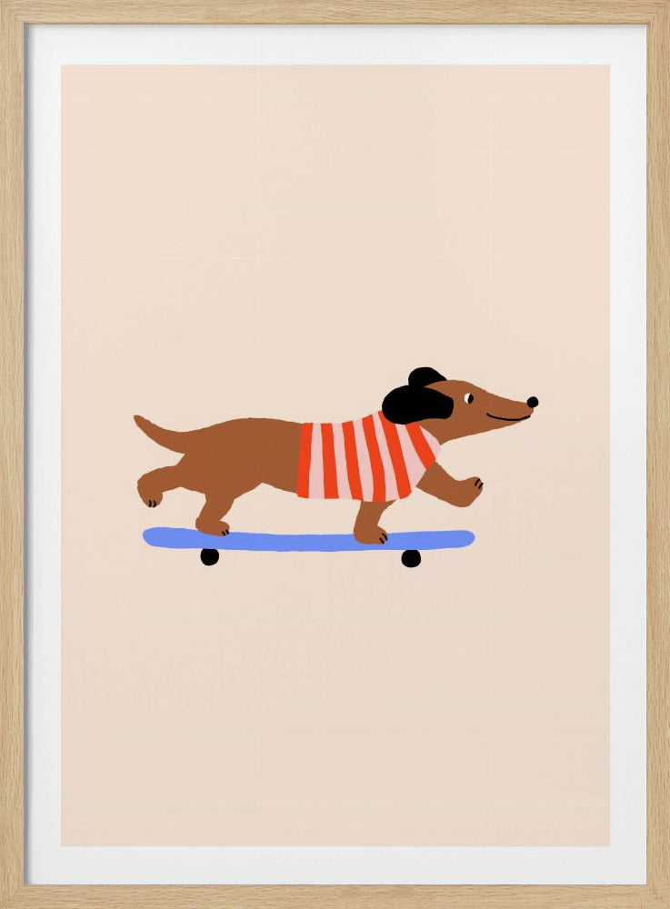 Teckel op skateboard | Poster