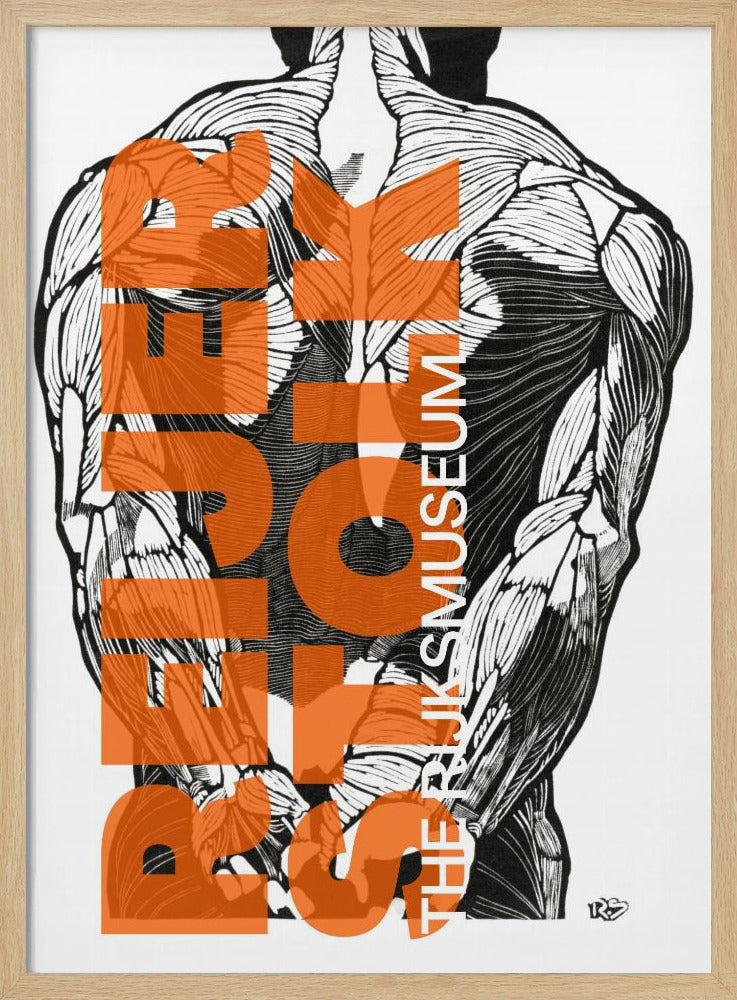 Anatomy Lines | Poster