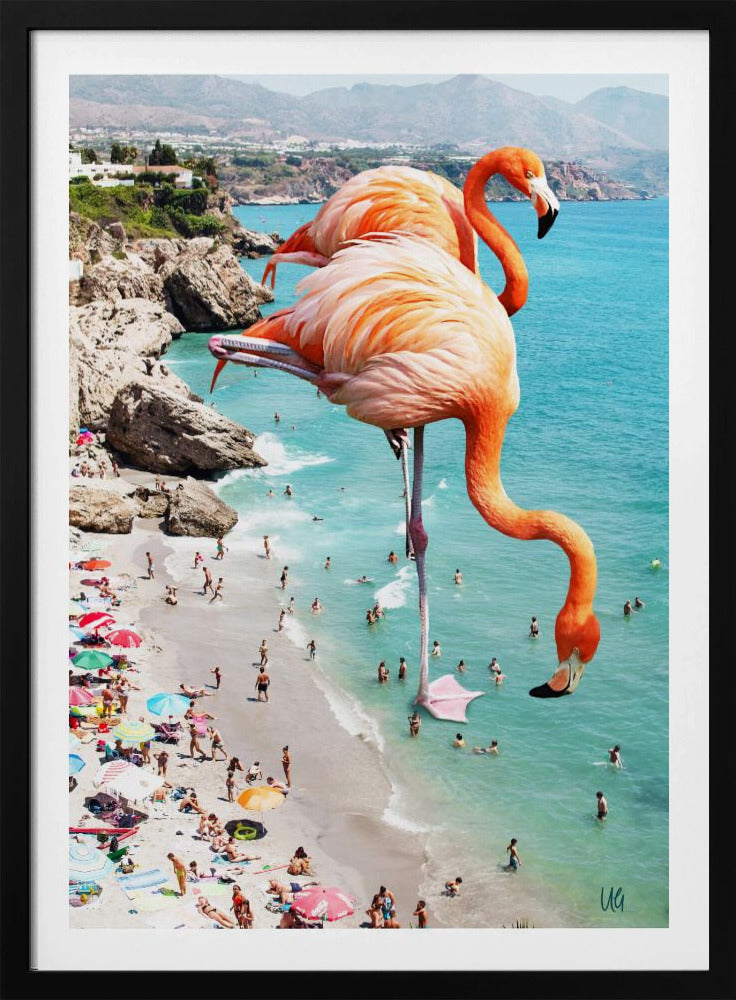 Flamingo's op het strand | Poster