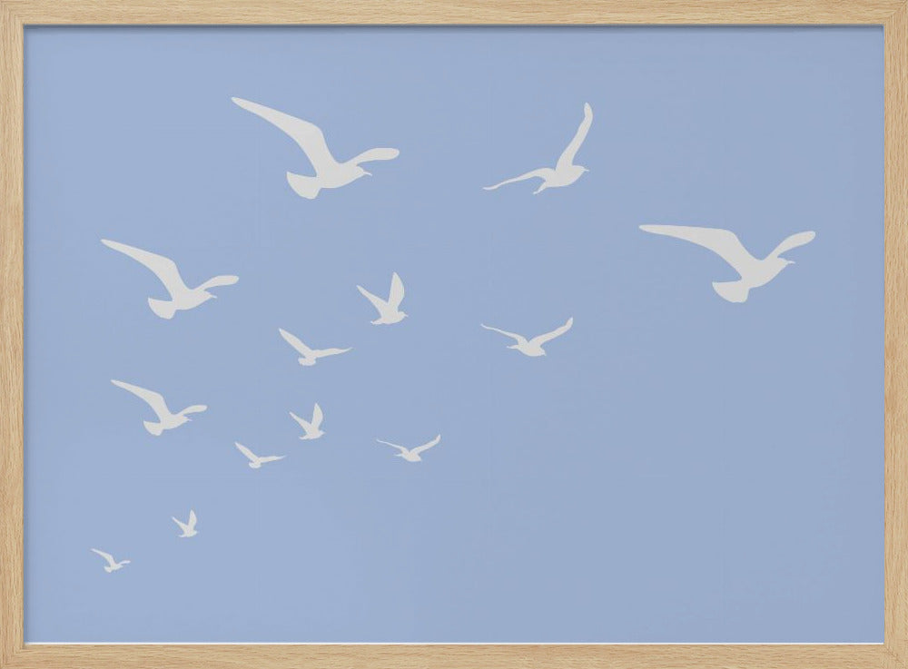Meeuwen Blauwe Achtergrond | Poster